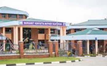 How Many Level 6 Hospitals Are in Kenya?